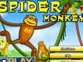 gioco spider monkey
